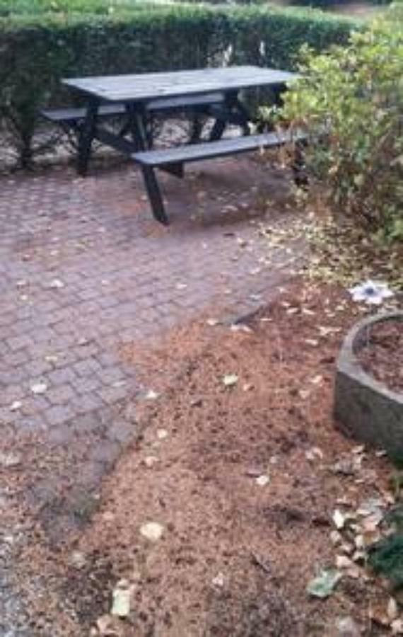 Appartement De Groote Peel Nederweert Екстер'єр фото