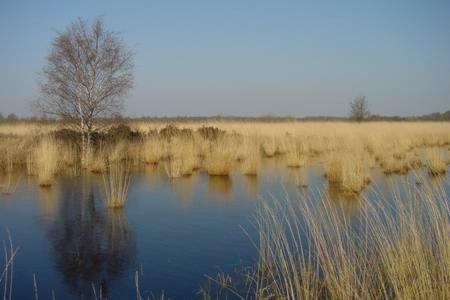 Appartement De Groote Peel Nederweert Екстер'єр фото